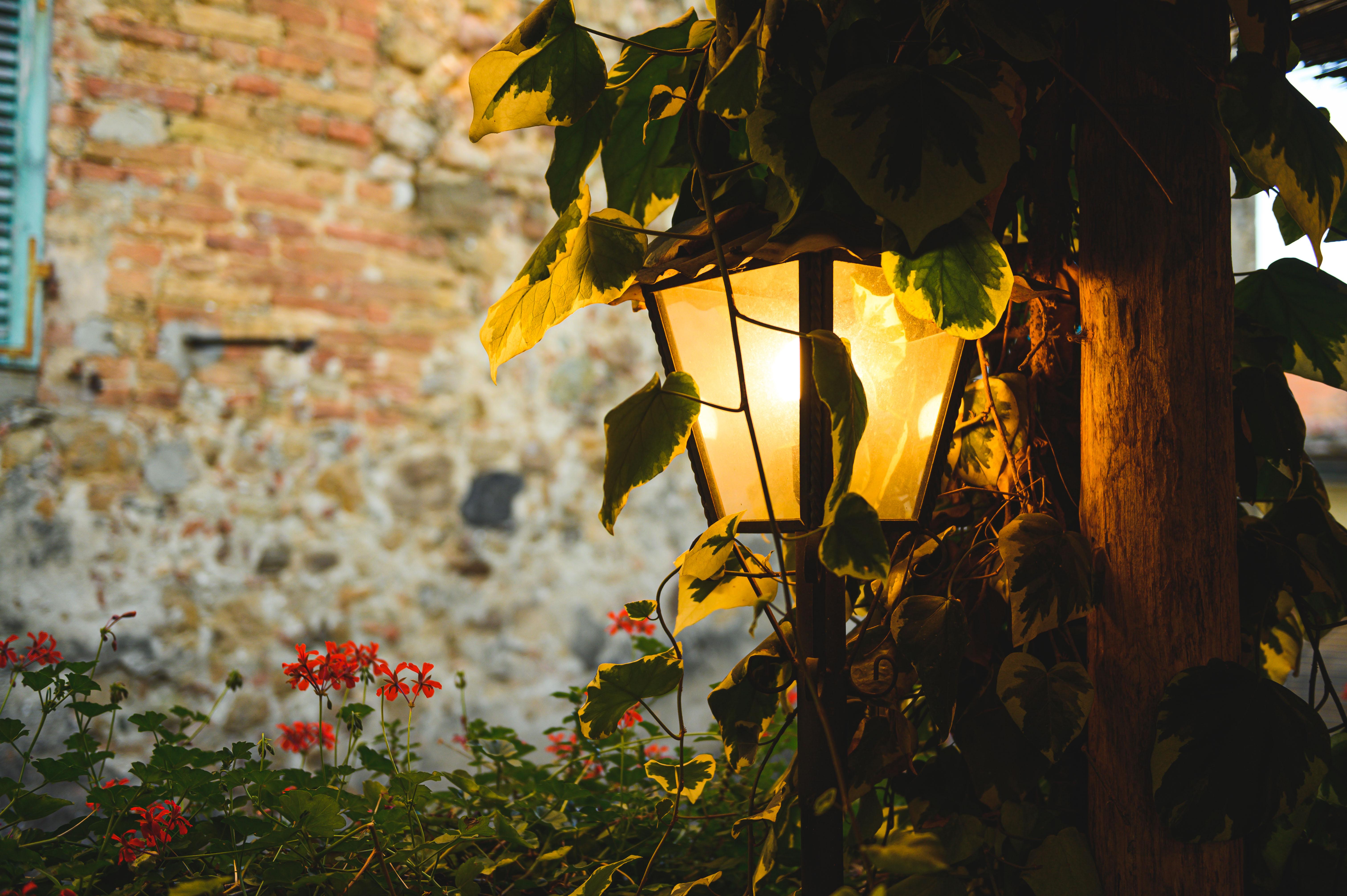 Palazzo Del Capitano Wellness E Relais Hotel San Quirico dʼOrcia Buitenkant foto